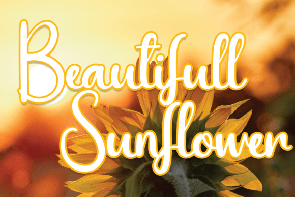Beautifull Sunflower: A Handwritten Font That Feels Like a Warm Hello