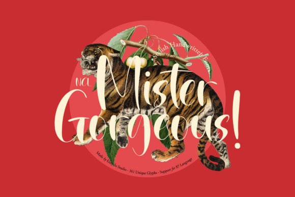 Mister Gorgeous: A Modern Handwritten Font for Crafters