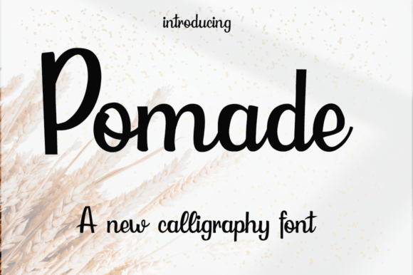 Pomade: A Modern Script Font That Converts Scrollers Into Customers