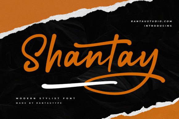 Shantay: A Bold Script Font That Brings Personality to Real Branding